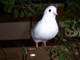 20100423_1107