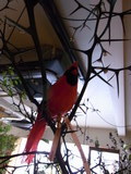 20100423_1109