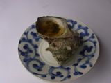 20100607_1121