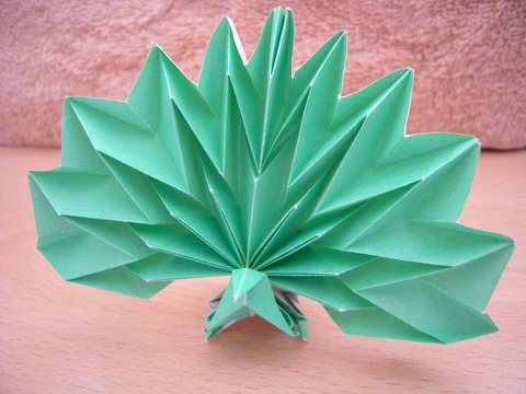 DSCN2754-1