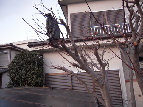 DSCN2682
