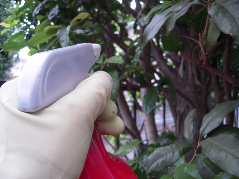 DSCN0094
