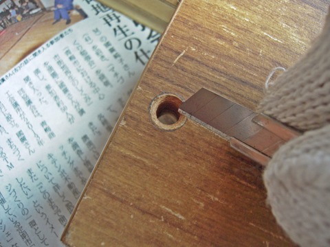 DSCN3317-1