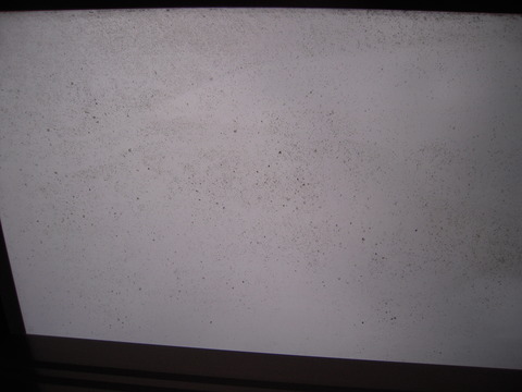 DSCN3198