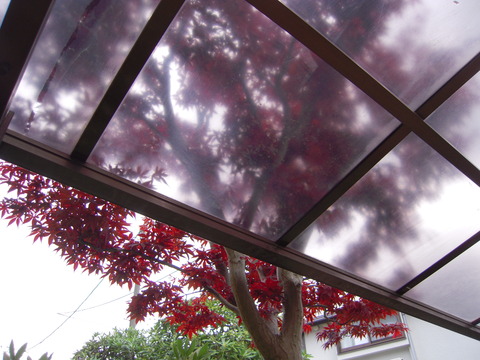 DSCN3201