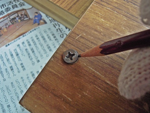 DSCN3313-1