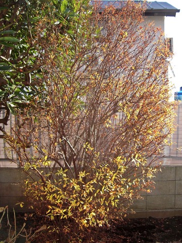 DSCN2623-1