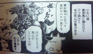 エッセイ