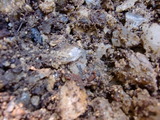 CIMG0998