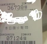 20080802¥ì¥·¡¼¥È