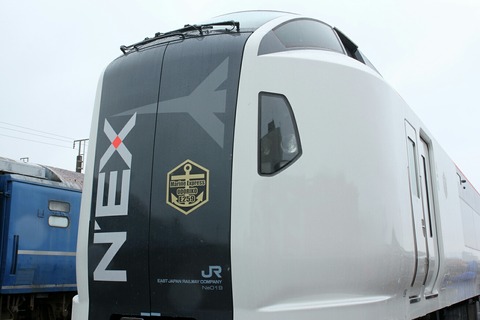 E259系 NEX Marine Express ODORIKO ふれあい鉄道フェスティバル