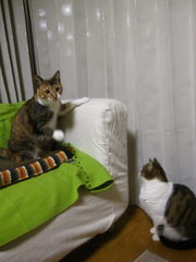IMG_4193_SP0000