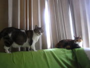 IMG_4178_SP0000