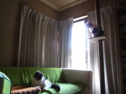 IMG_4294_SP0000