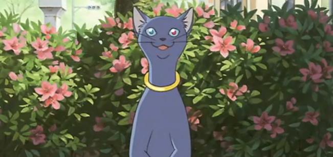cat1