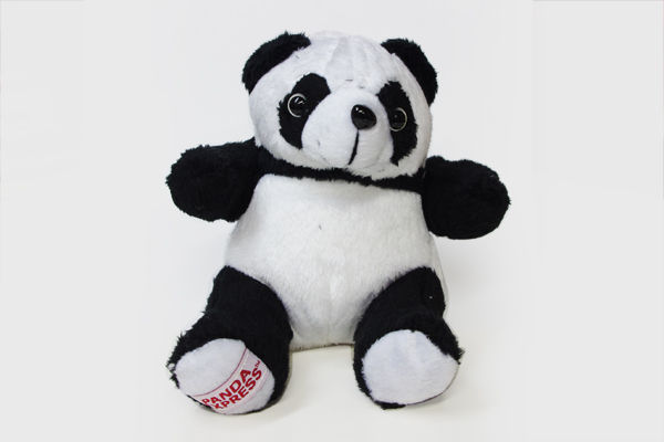 pandaex1