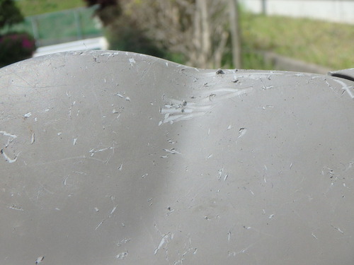 P5030002