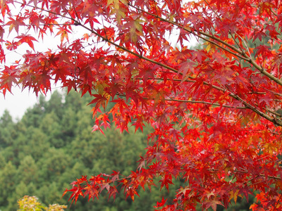 2012102703
