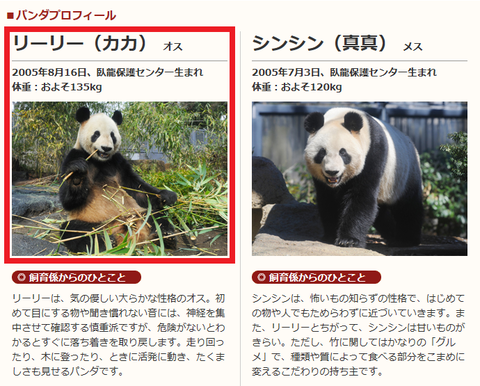 上野パン