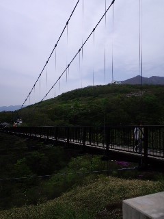 1f772256.jpg