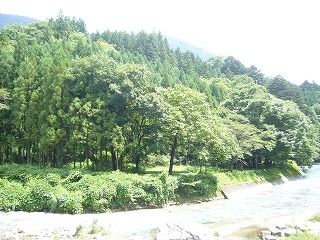 c0088178_21501243