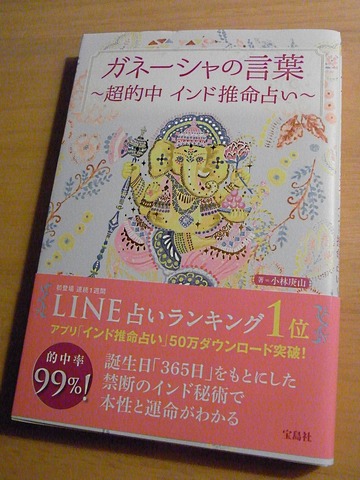 RIMG0008