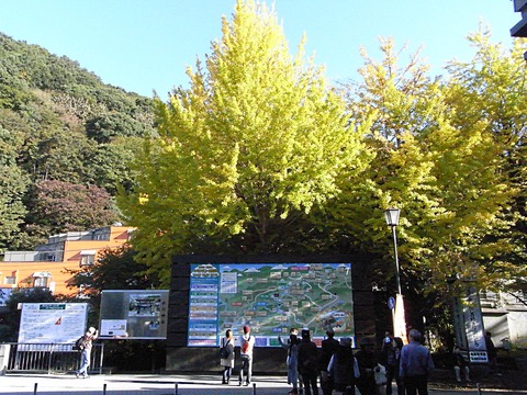 RIMG0013
