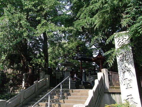 RIMG0011