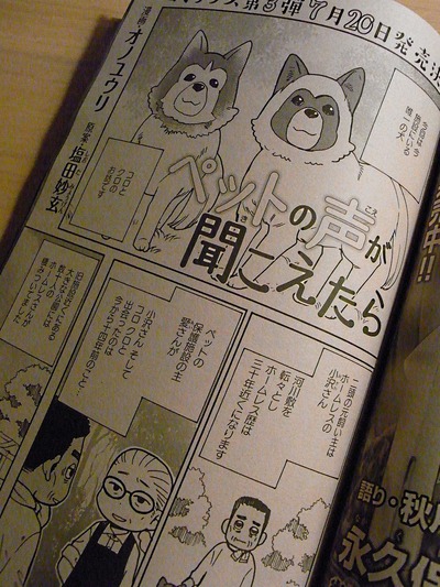 RIMG0012 (1)