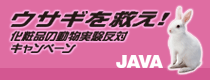 ウサギを救え!1