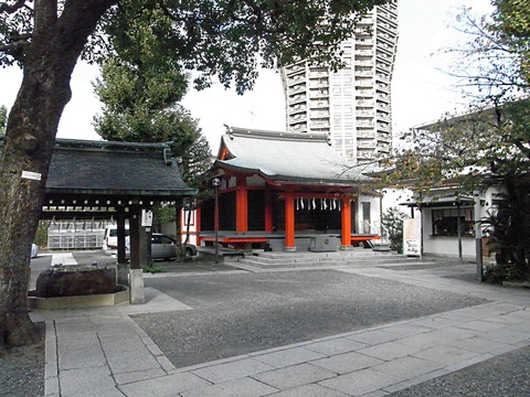 RIMG0016