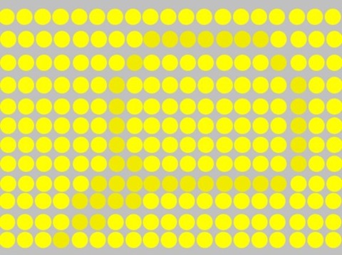 2d5d531b