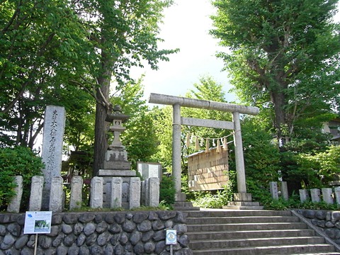 RIMG0009 (1)