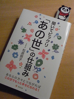 RIMG0008 (3)