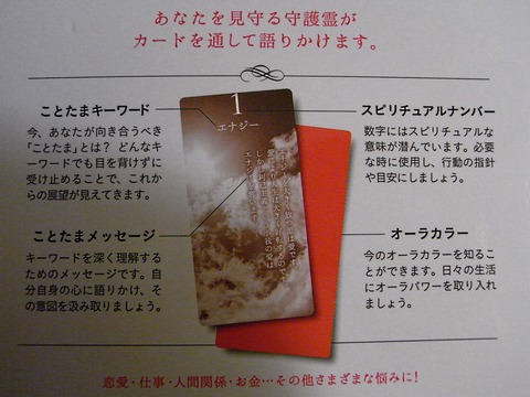 RIMG0032