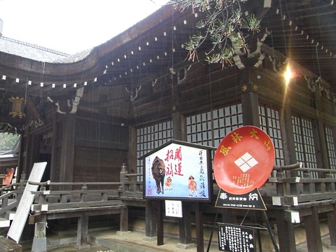 RIMG0009