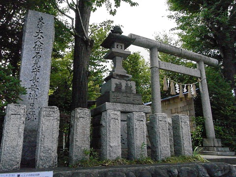 RIMG0012 (1)