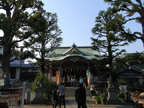RIMG0015