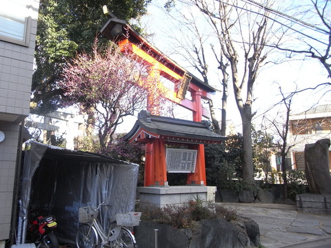 RIMG0010