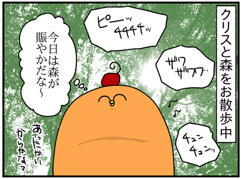 自然音1