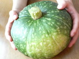 かぼちゃ