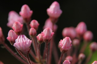 test2