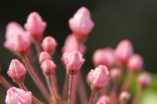 test1