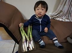 110428_gifu