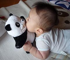 100818_papanda