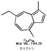 kamzuren