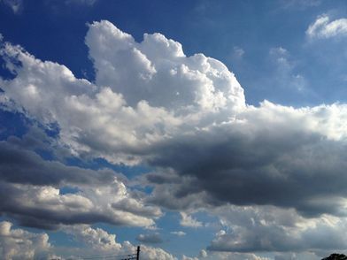 IMG_0552
