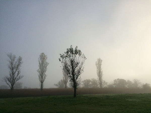 0303124b.jpg