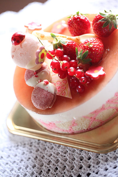 berries-choco-cake2