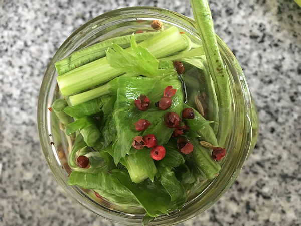 long bean pickles2